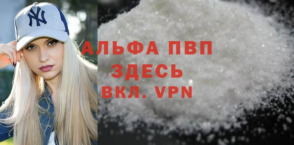 дмт Бородино
