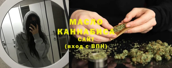 дмт Бородино