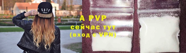 дмт Бородино
