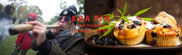 дмт Бородино