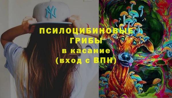 дживик Бронницы