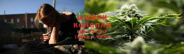 дживик Бронницы