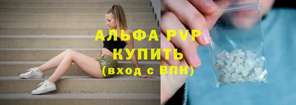 дмт Бородино