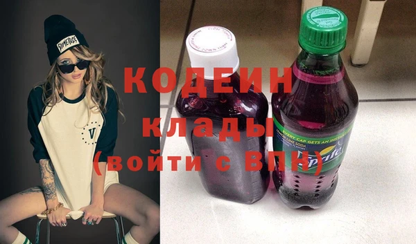 дживик Бронницы