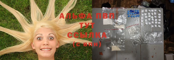 дмт Бородино
