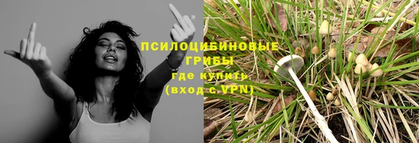 дживик Бронницы