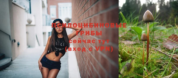 дмт Бородино