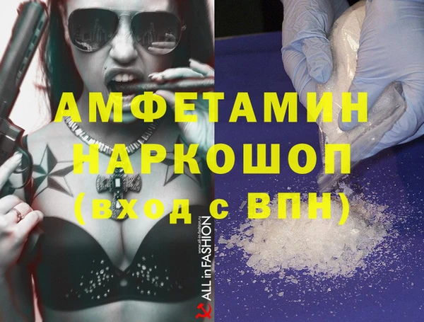 дмт Бородино