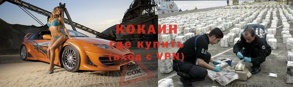дживик Бронницы