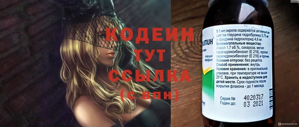 дмт Бородино