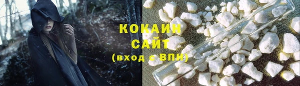 дживик Бронницы